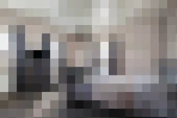 Heijcamp 42 Nuland thumbnail 20