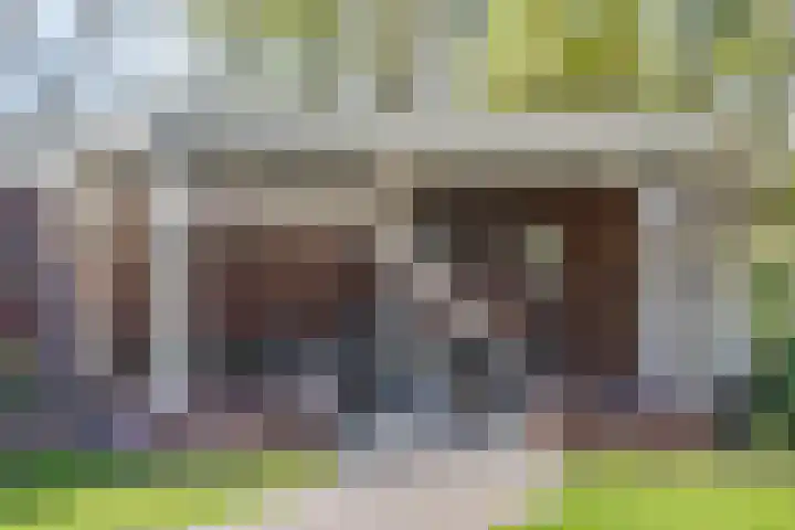 Heijcamp 42 Nuland thumbnail 37