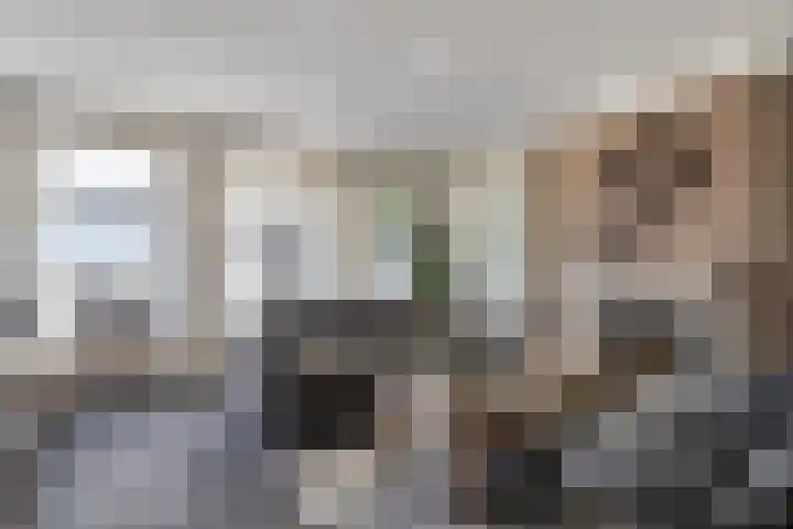 Heijcamp 42 Nuland thumbnail 4