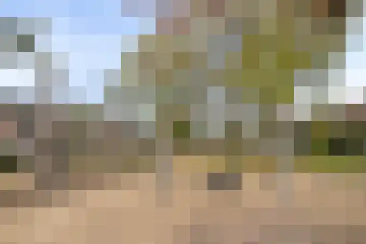 Heijcamp 42 Nuland thumbnail 46