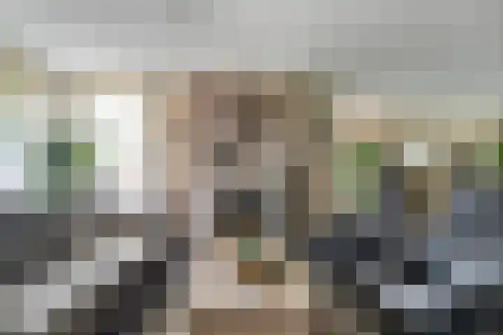 Heijcamp 42 Nuland thumbnail 5
