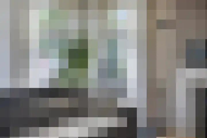 Heijcamp 42 Nuland thumbnail 7