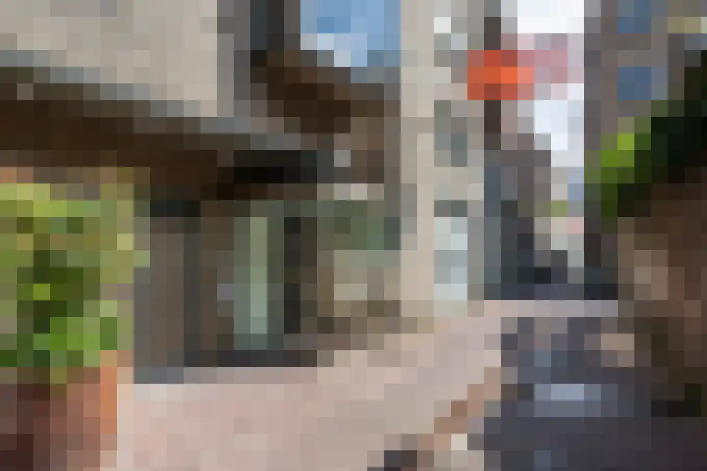 Heijdendaalsteeg 19 Arnhem thumbnail 5