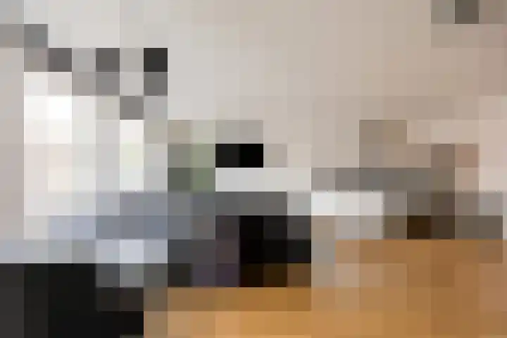 Heijdendaalsteeg 39 Arnhem thumbnail 10