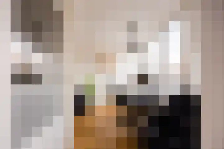 Heijdendaalsteeg 39 Arnhem thumbnail 11