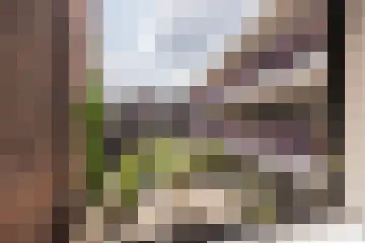 Heijdendaalsteeg 39 Arnhem thumbnail 19