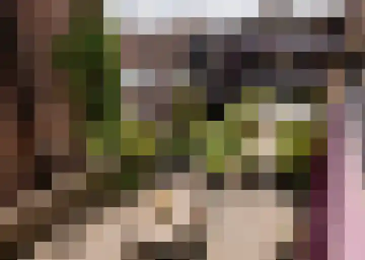 Heijdendaalsteeg 39 Arnhem thumbnail 21