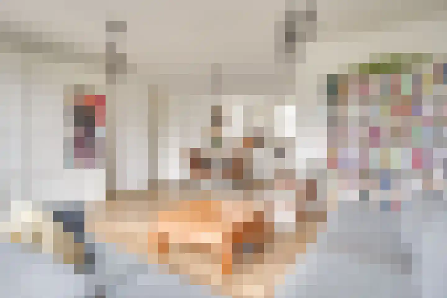 Heijdendonk 13 Helmond thumbnail 17