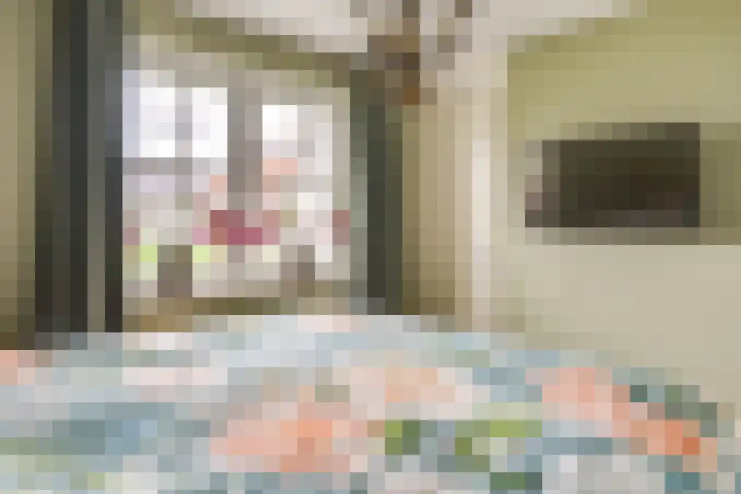 Heijdendonk 13 Helmond thumbnail 28
