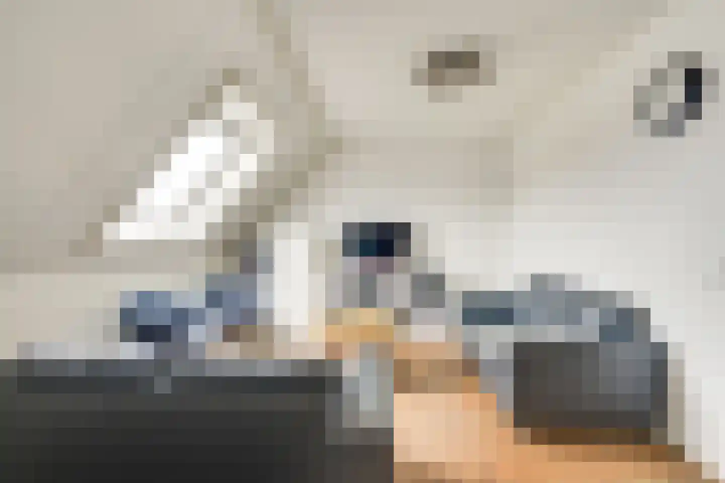 Heijdendonk 13 Helmond thumbnail 36
