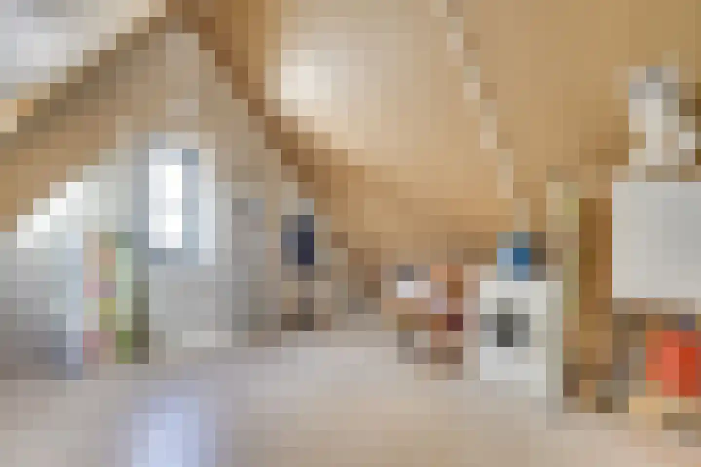 Heijdendonk 24 Helmond thumbnail 37