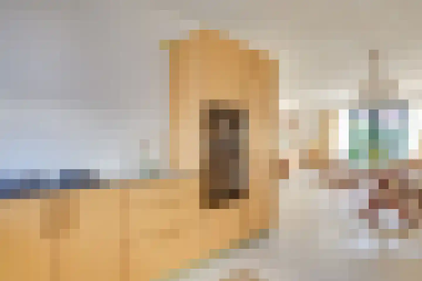 Heijdendonk 24 Helmond thumbnail 4