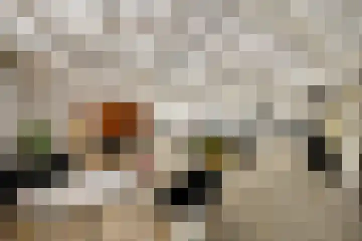 Heijdsepad 1 Monster thumbnail 13