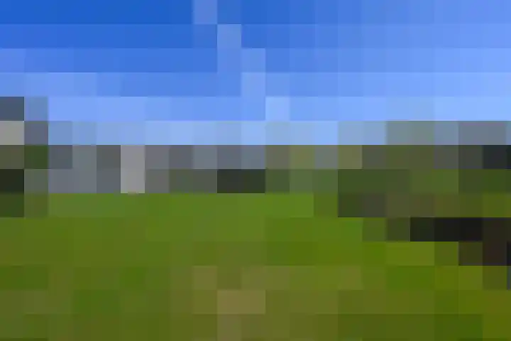 Heijdsepad 1 Monster thumbnail 17