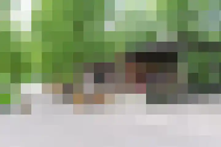 Heijdsepad 1 Monster thumbnail 19