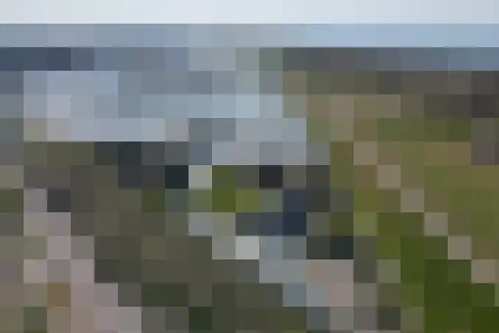 Heijdsepad 1 Monster thumbnail 22