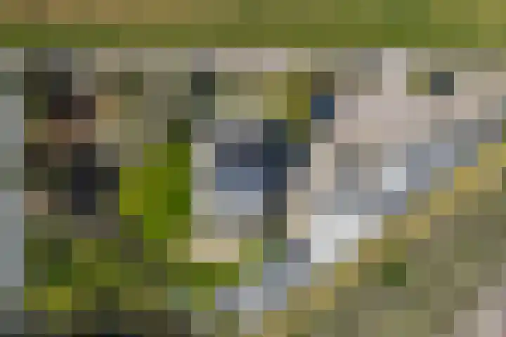 Heijdsepad 1 Monster thumbnail 24