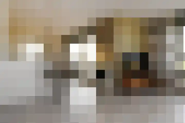 Heijdseweg 54 Monster thumbnail 13