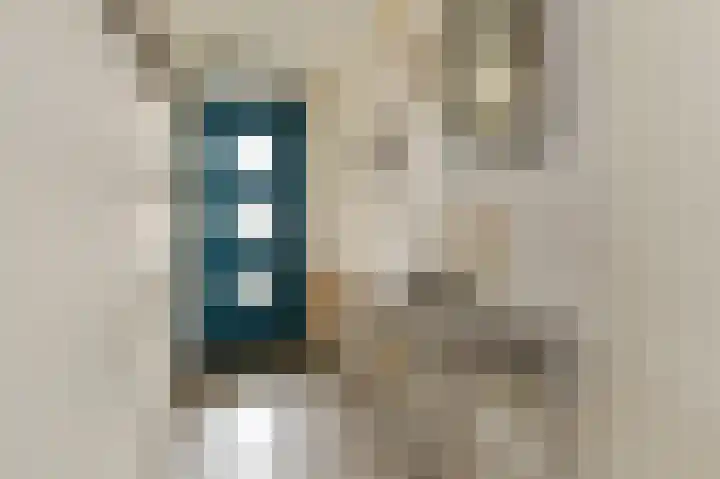 Heijdseweg 54 Monster thumbnail 24