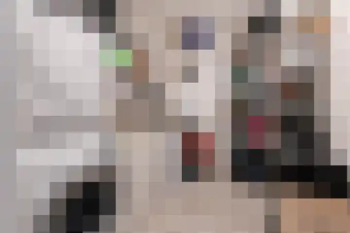 Heijdseweg 54 Monster thumbnail 35