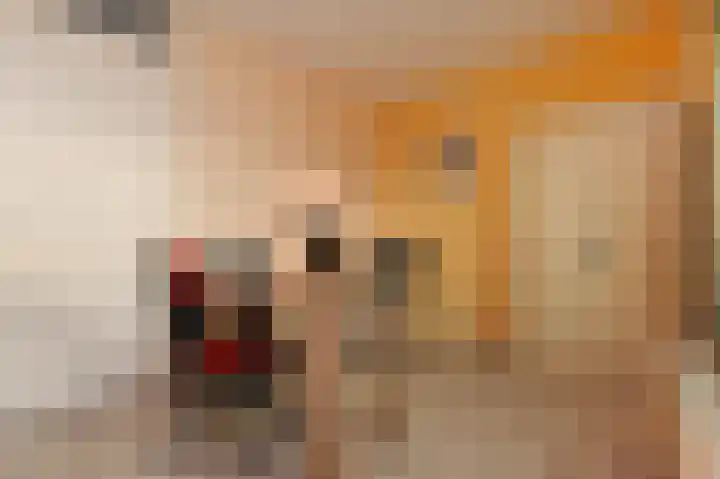 Heijdseweg 54 Monster thumbnail 37
