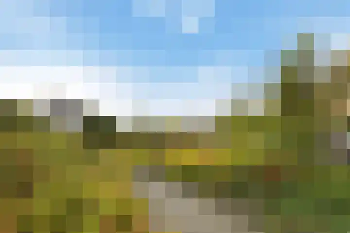 Heijdseweg 54 Monster thumbnail 46