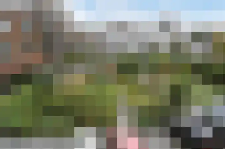 Heijdseweg 54 Monster thumbnail 51