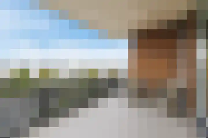 Heijdseweg 54 Monster thumbnail 7