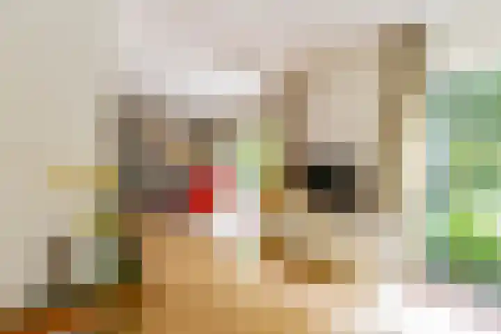 Heije Schaperloane 16 Feanwâlden thumbnail 11