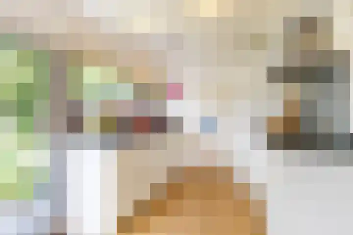 Heije Schaperloane 16 Feanwâlden thumbnail 19