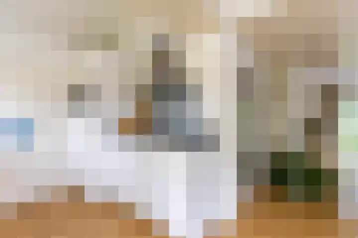 Heije Schaperloane 16 Feanwâlden thumbnail 21