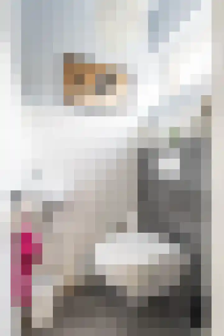 Heije Schaperloane 16 Feanwâlden thumbnail 22