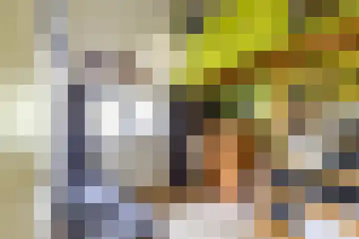 Heije Schaperloane 16 Feanwâlden thumbnail 30
