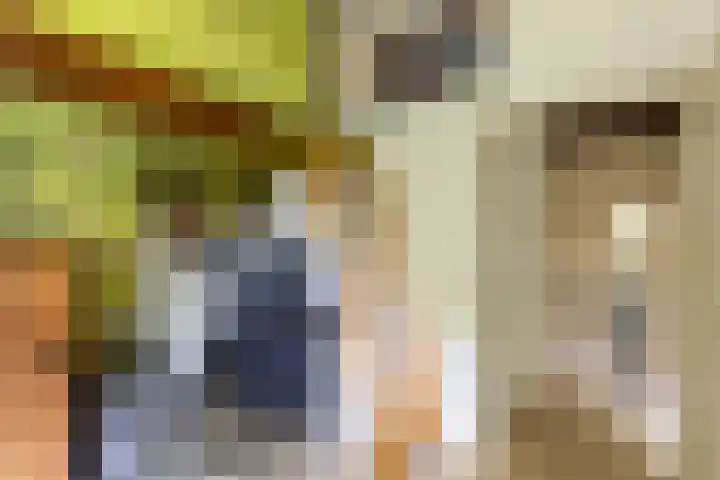 Heije Schaperloane 16 Feanwâlden thumbnail 31