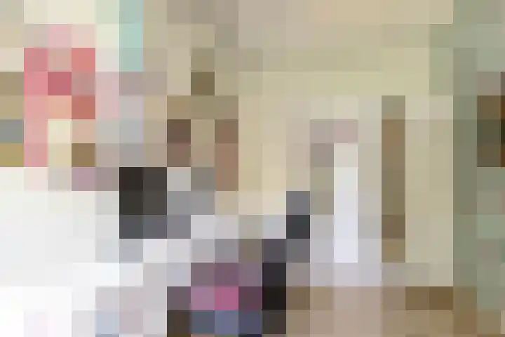 Heije Schaperloane 16 Feanwâlden thumbnail 34