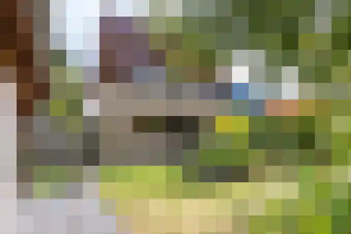 Heije Schaperloane 16 Feanwâlden thumbnail 36