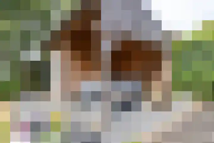 Heije Schaperloane 16 Feanwâlden thumbnail 38