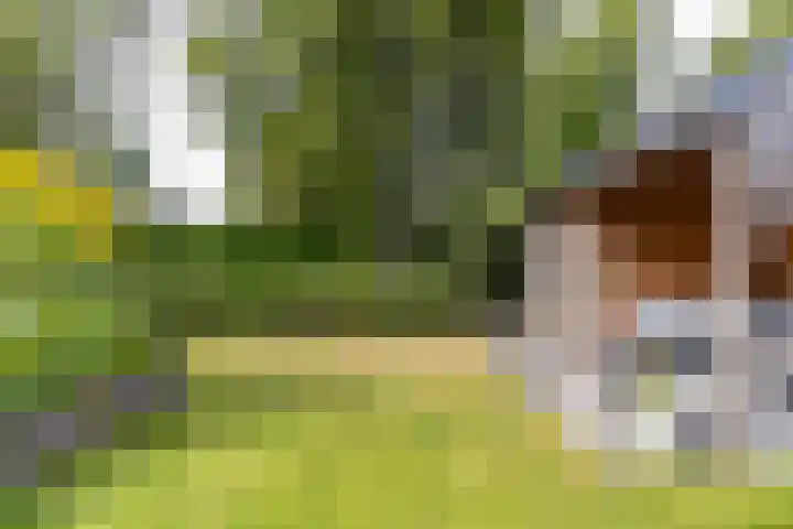 Heije Schaperloane 16 Feanwâlden thumbnail 40
