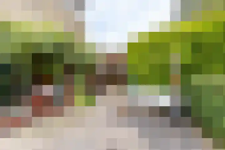 Heije Schaperloane 16 Feanwâlden thumbnail 41