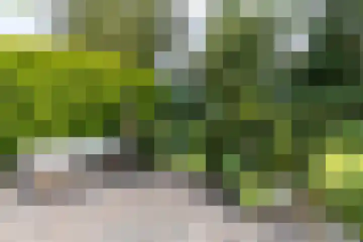 Heije Schaperloane 16 Feanwâlden thumbnail 42