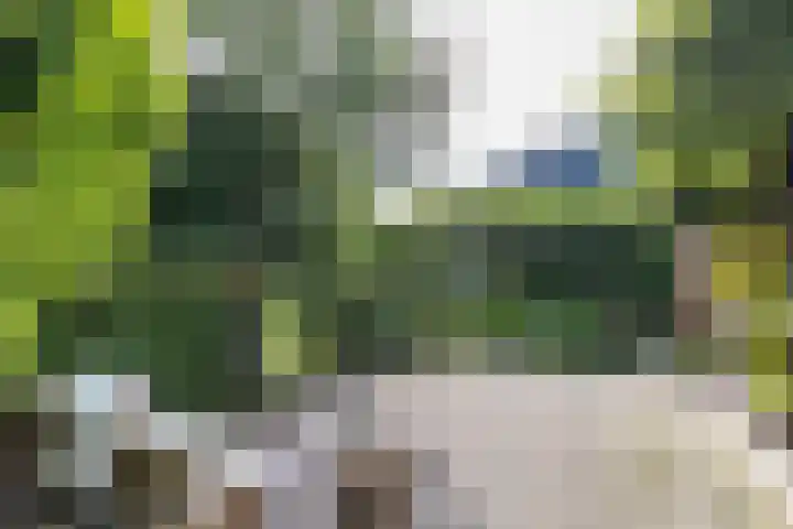 Heije Schaperloane 16 Feanwâlden thumbnail 43