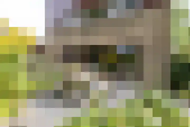 Heije Schaperloane 16 Feanwâlden thumbnail 45
