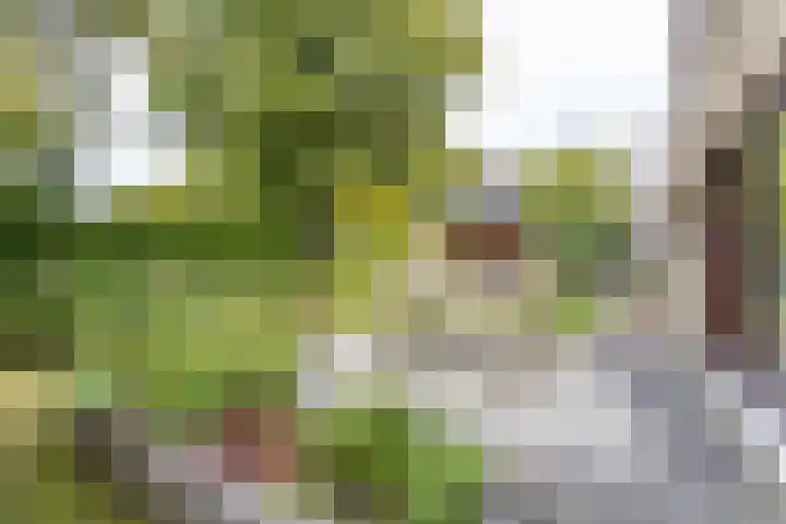 Heije Schaperloane 16 Feanwâlden thumbnail 46