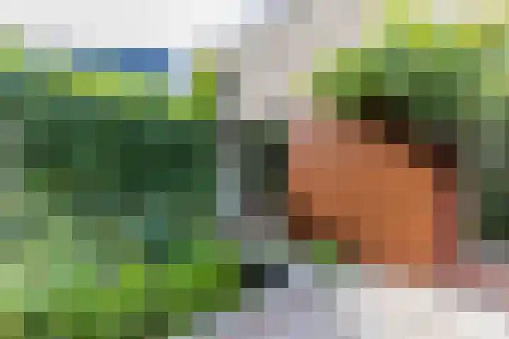 Heije Schaperloane 16 Feanwâlden thumbnail 49
