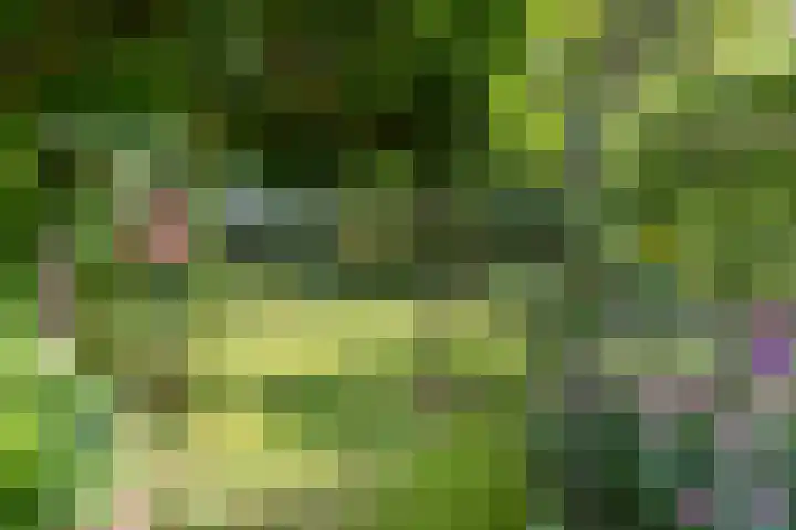 Heije Schaperloane 16 Feanwâlden thumbnail 50