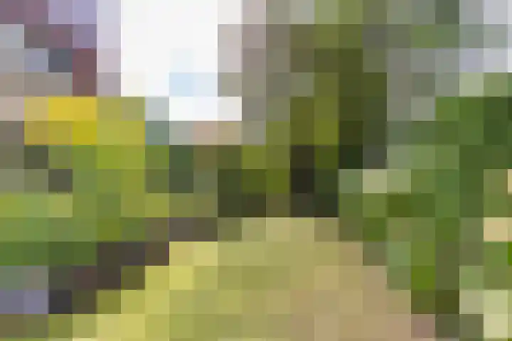 Heije Schaperloane 16 Feanwâlden thumbnail 51