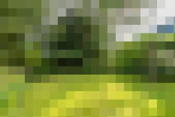 Heije Schaperloane 16 Feanwâlden thumbnail 52