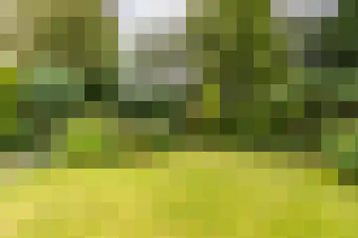 Heije Schaperloane 16 Feanwâlden thumbnail 53