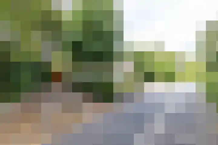Heije Schaperloane 16 Feanwâlden thumbnail 55