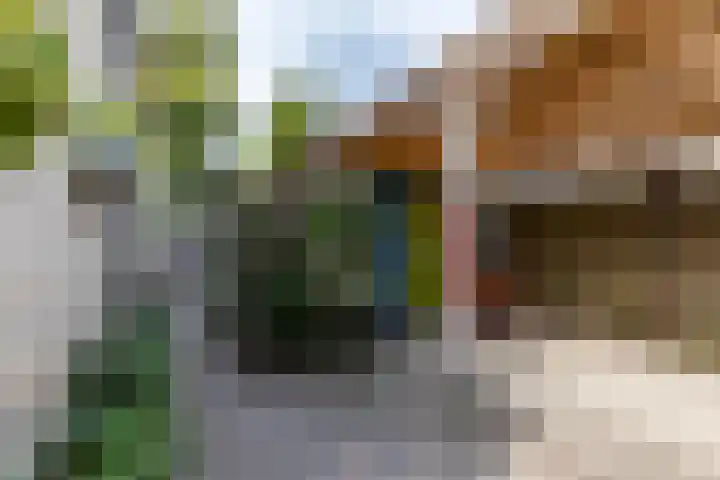 Heije Schaperloane 16 Feanwâlden thumbnail 58